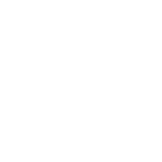 light logo