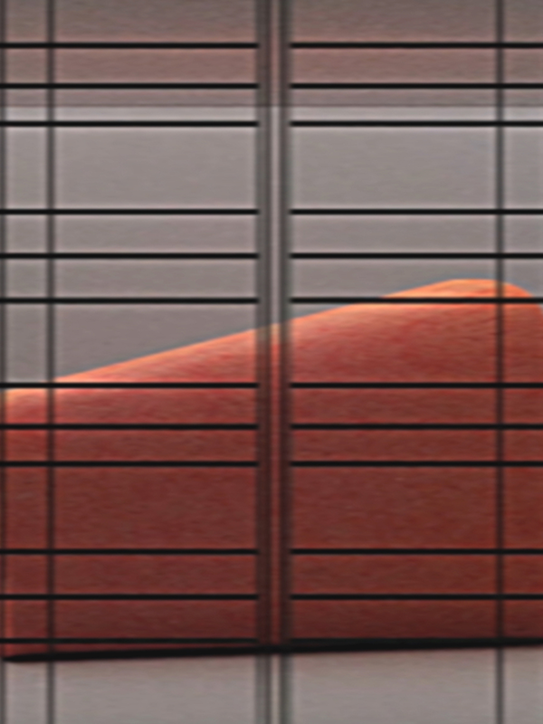 photo du film A Metamorphosis